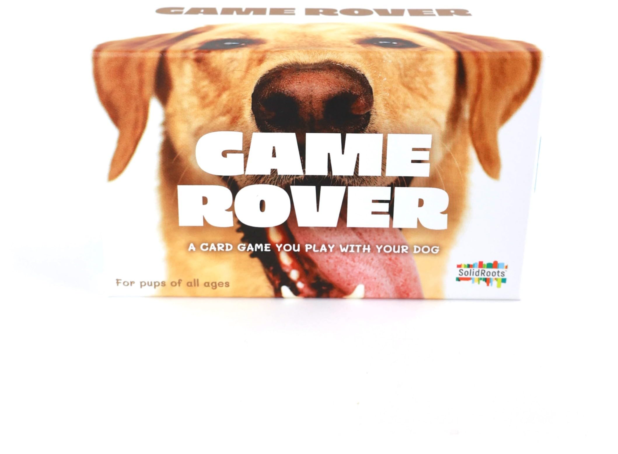 Foto 2 pulgar | Game Spin Master Games Solidroots Game Rover Con Perro A Partir De 8 Años - Venta Internacional.