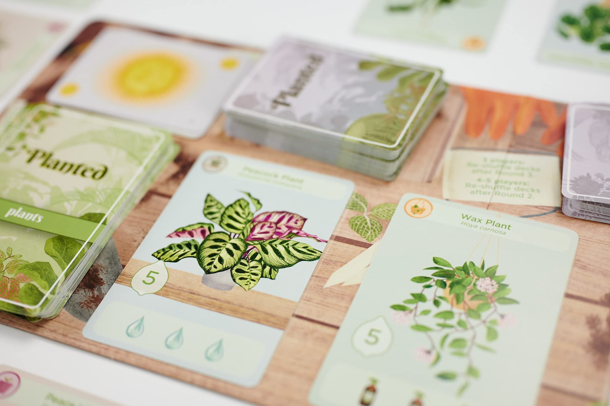 Foto 7 | Juego De Mesa Buffalo Games Planted Game Phil Walker-harding - Venta Internacional.