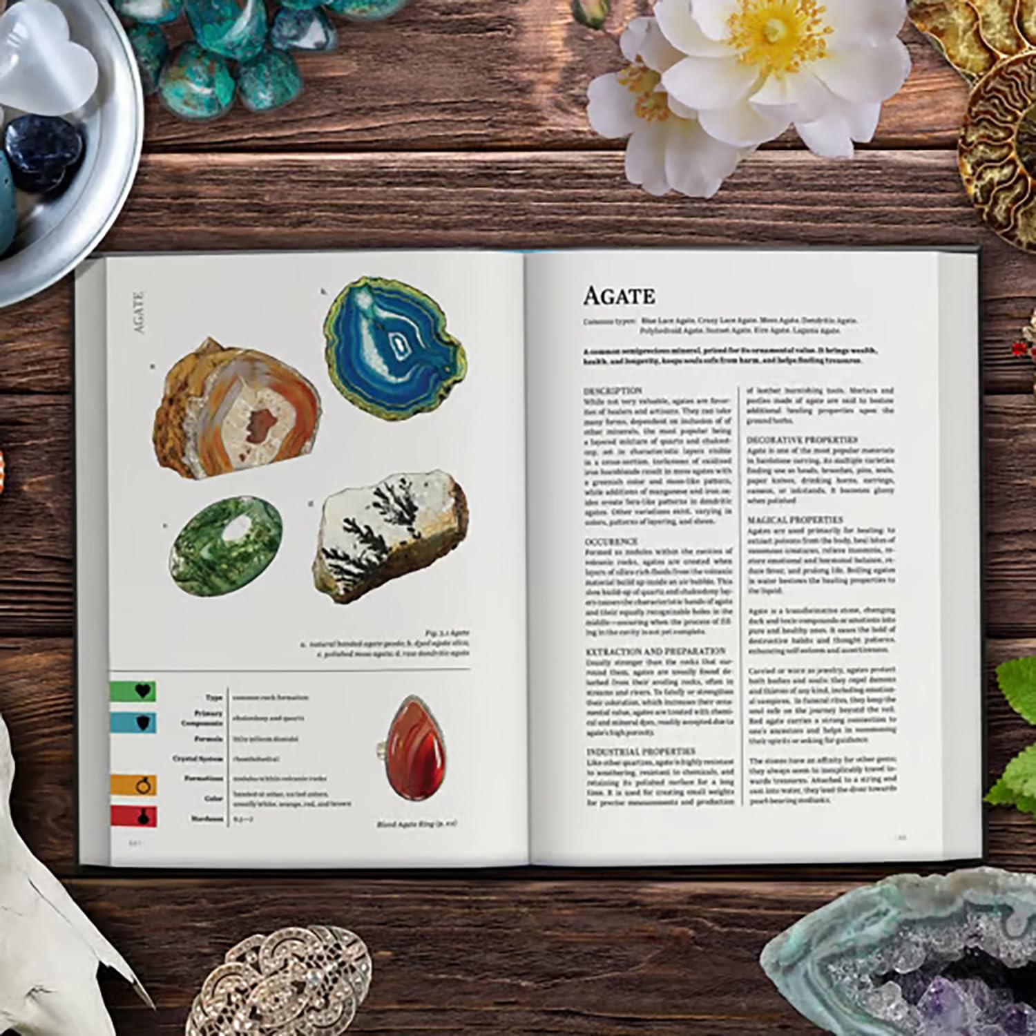 Foto 4 | Libro De Consulta De Tapa Dura De Rpg Renegade Game Studios Geolog's Primer - Venta Internacional.