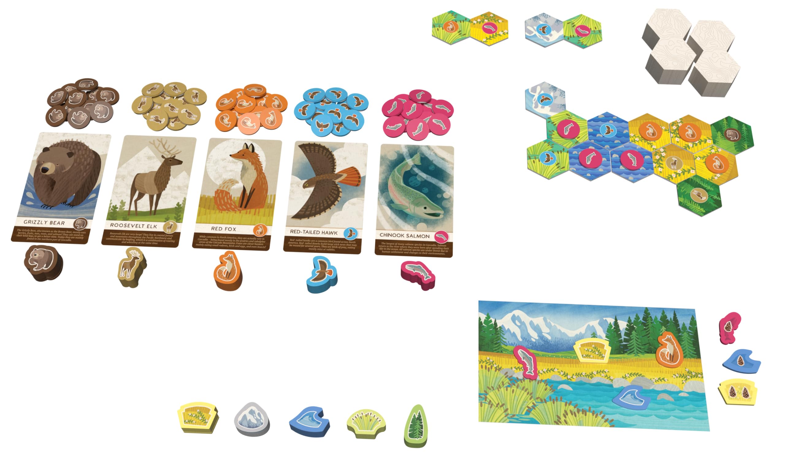 Foto 6 pulgar | Juego De Mesa Aeg & Flatout Games Cascadia Junior 2-4 Jugadores 6+ - Venta Internacional.