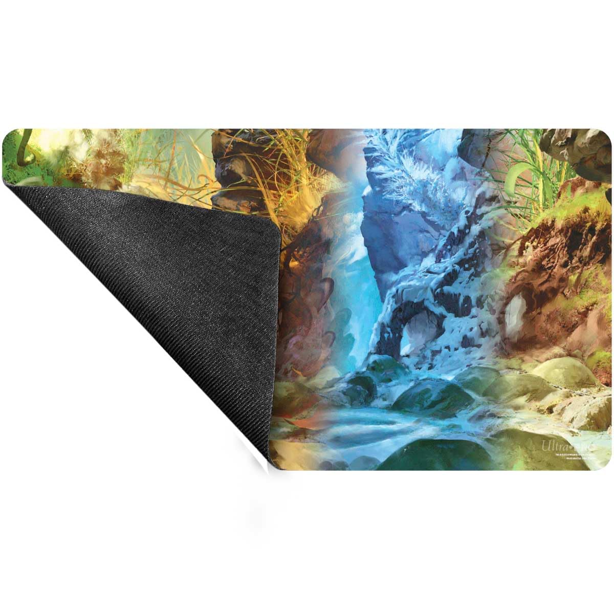 Foto 3 pulgar | Tapete Playmat Ultra Pro Magic The Gathering Bloomburrow Swamp - Venta Internacional.
