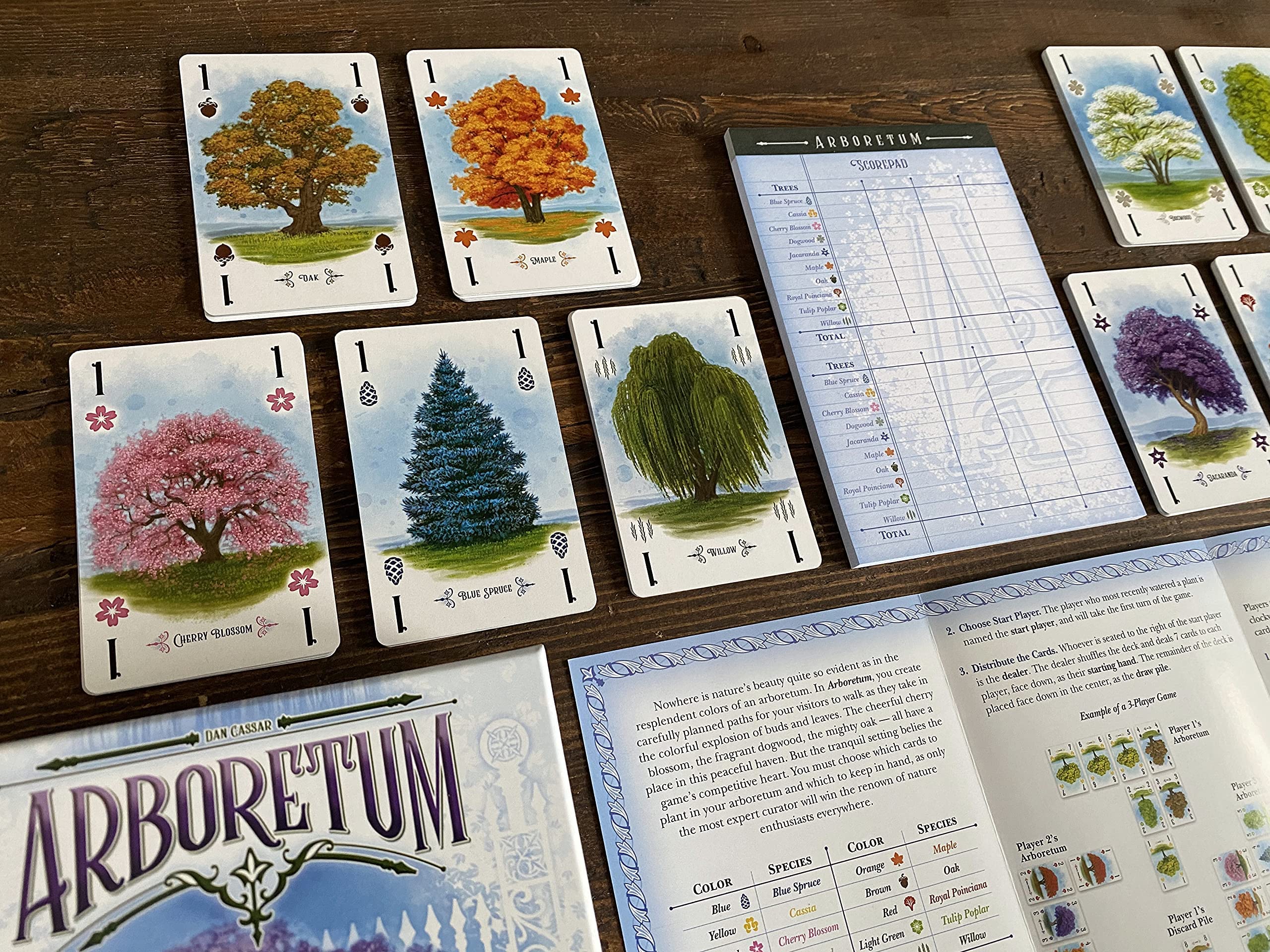 Foto 4 pulgar | Juego De Cartas Renegade Game Studios Arboretum Strategy Desde Hace Más De 8 Años - Venta Internacional.
