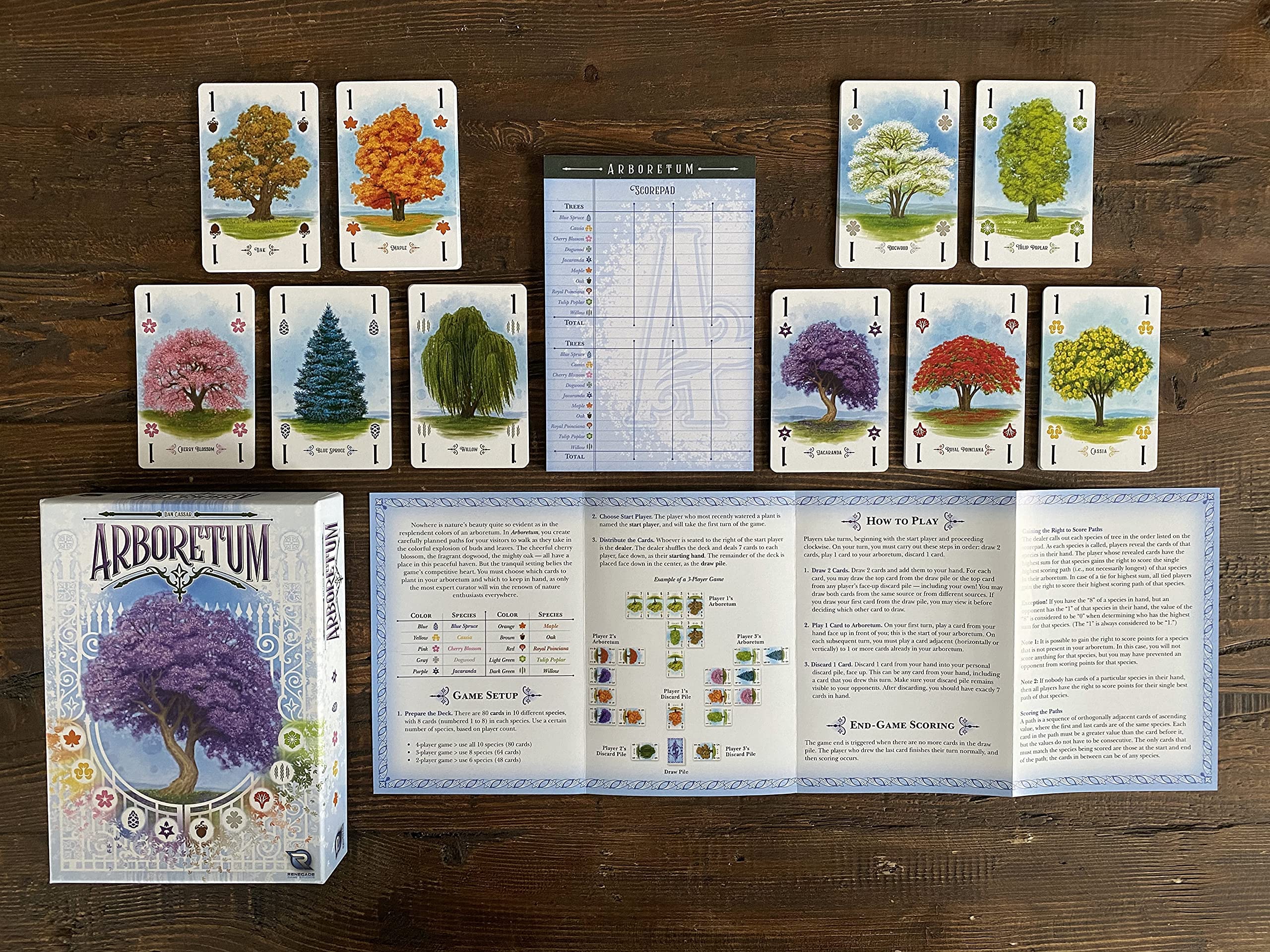 Foto 7 pulgar | Juego De Cartas Renegade Game Studios Arboretum Strategy Desde Hace Más De 8 Años - Venta Internacional.