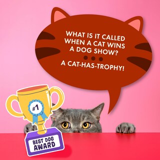 Foto 3 | Joke Cards Ridley's 100 Tarjetas De Broma Con Forma De Gato Para Niños Y Adultos - Venta Internacional.