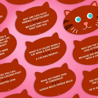 Foto 5 | Joke Cards Ridley's 100 Tarjetas De Broma Con Forma De Gato Para Niños Y Adultos - Venta Internacional.