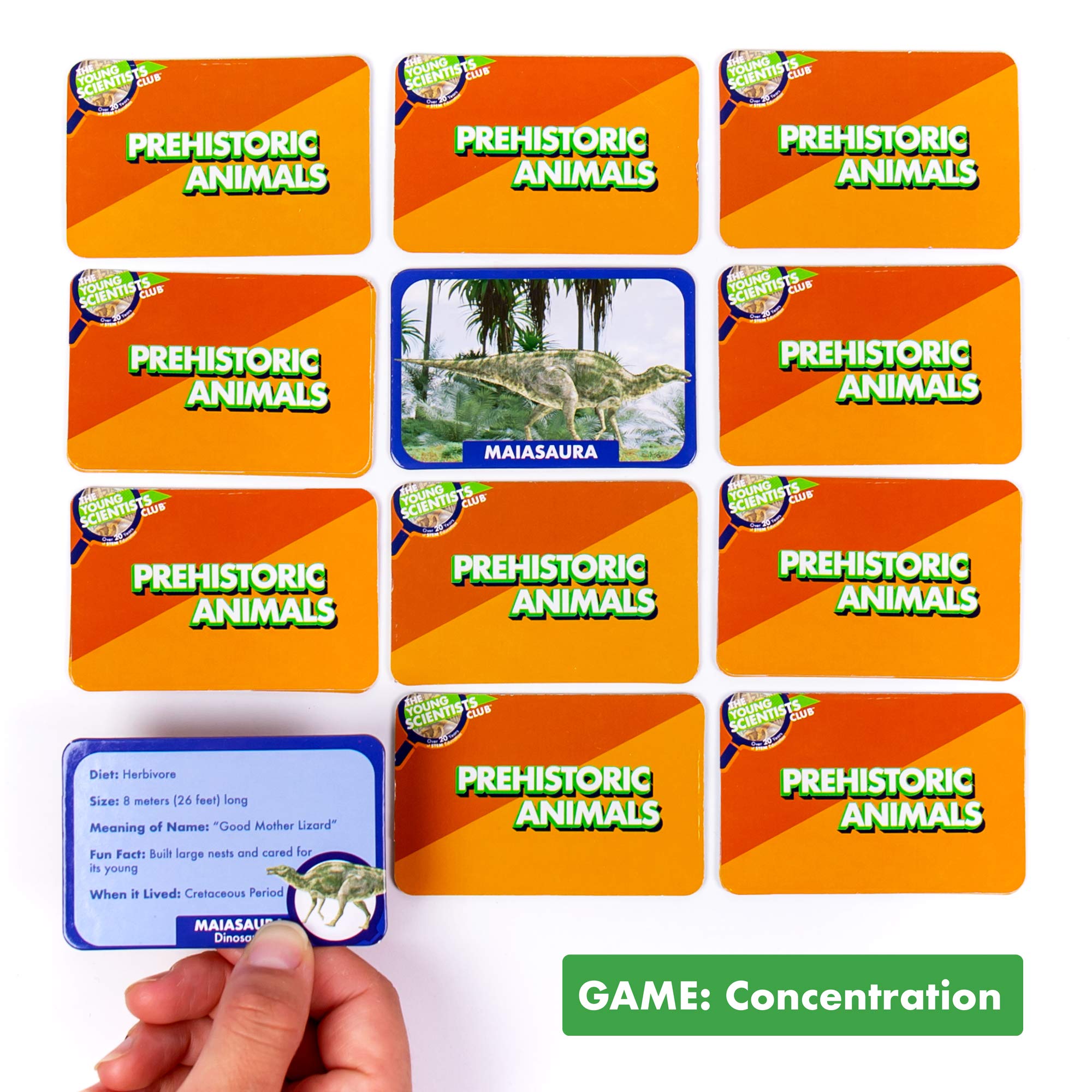Foto 5 pulgar | Juegos De Cartas The Young Scientist Prehistoric Animal Age 5+ - Venta Internacional.