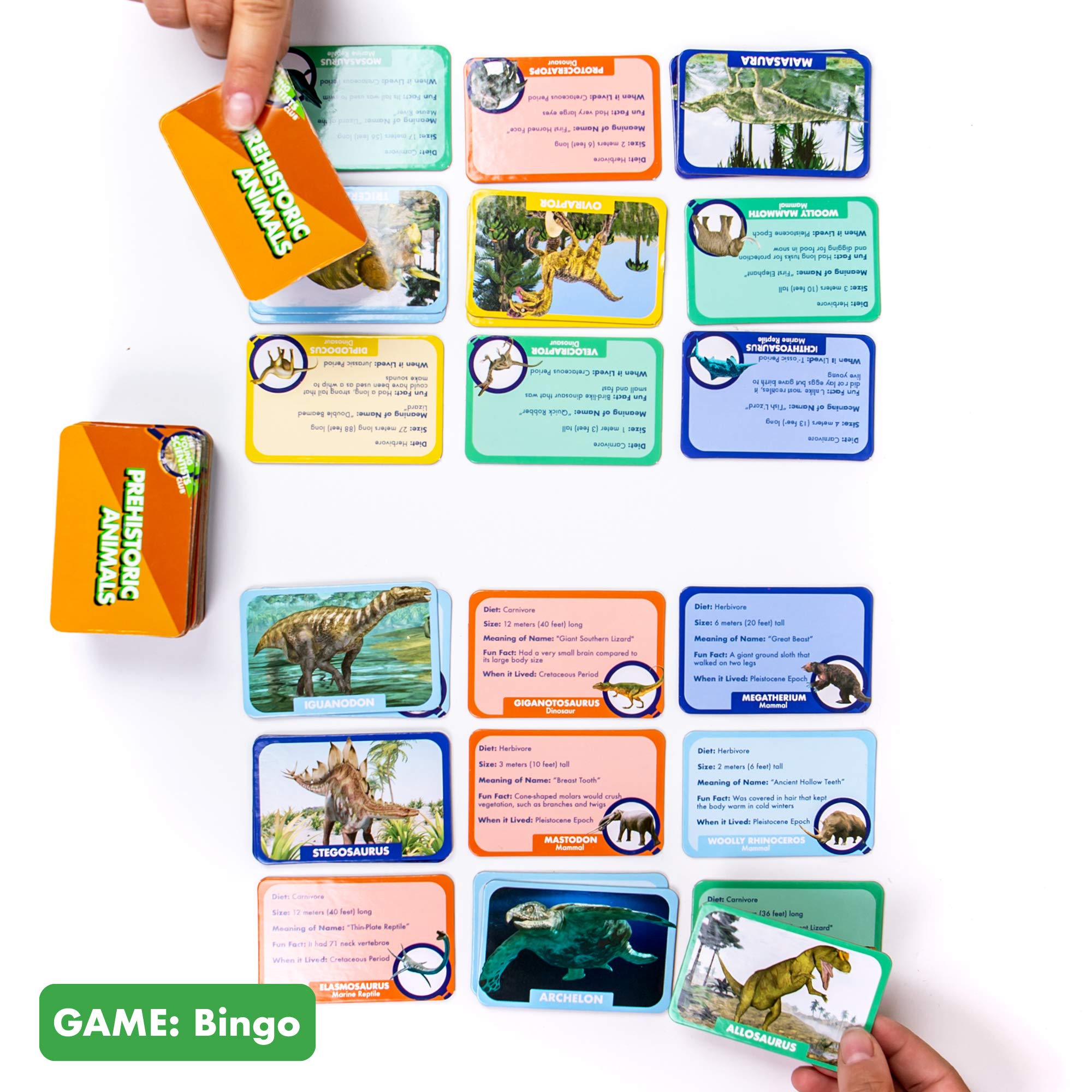 Foto 6 pulgar | Juegos De Cartas The Young Scientist Prehistoric Animal Age 5+ - Venta Internacional.