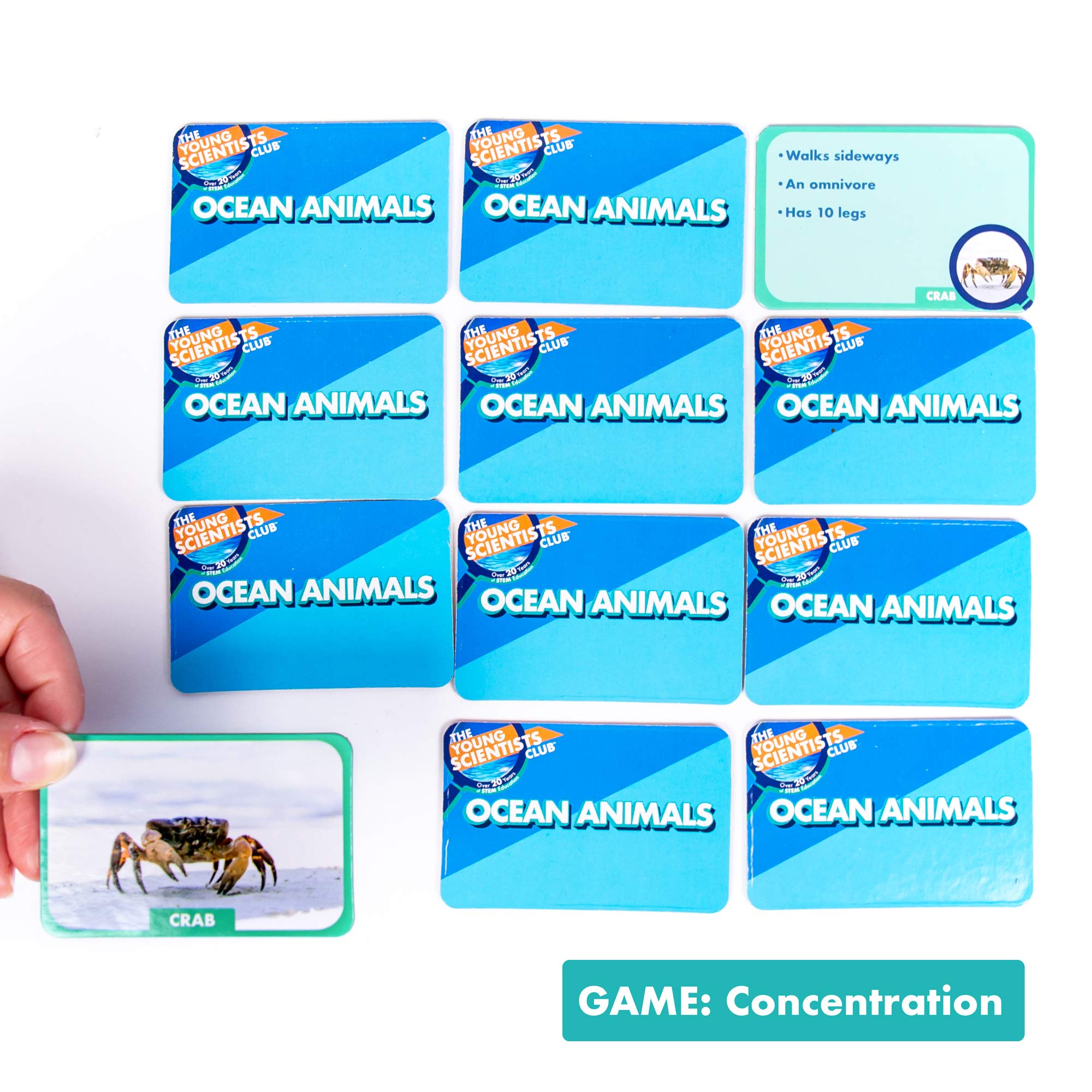 Foto 5 pulgar | Juegos De Cartas The Young Scientist Ocean Animal Age 5+ Kids - Venta Internacional.