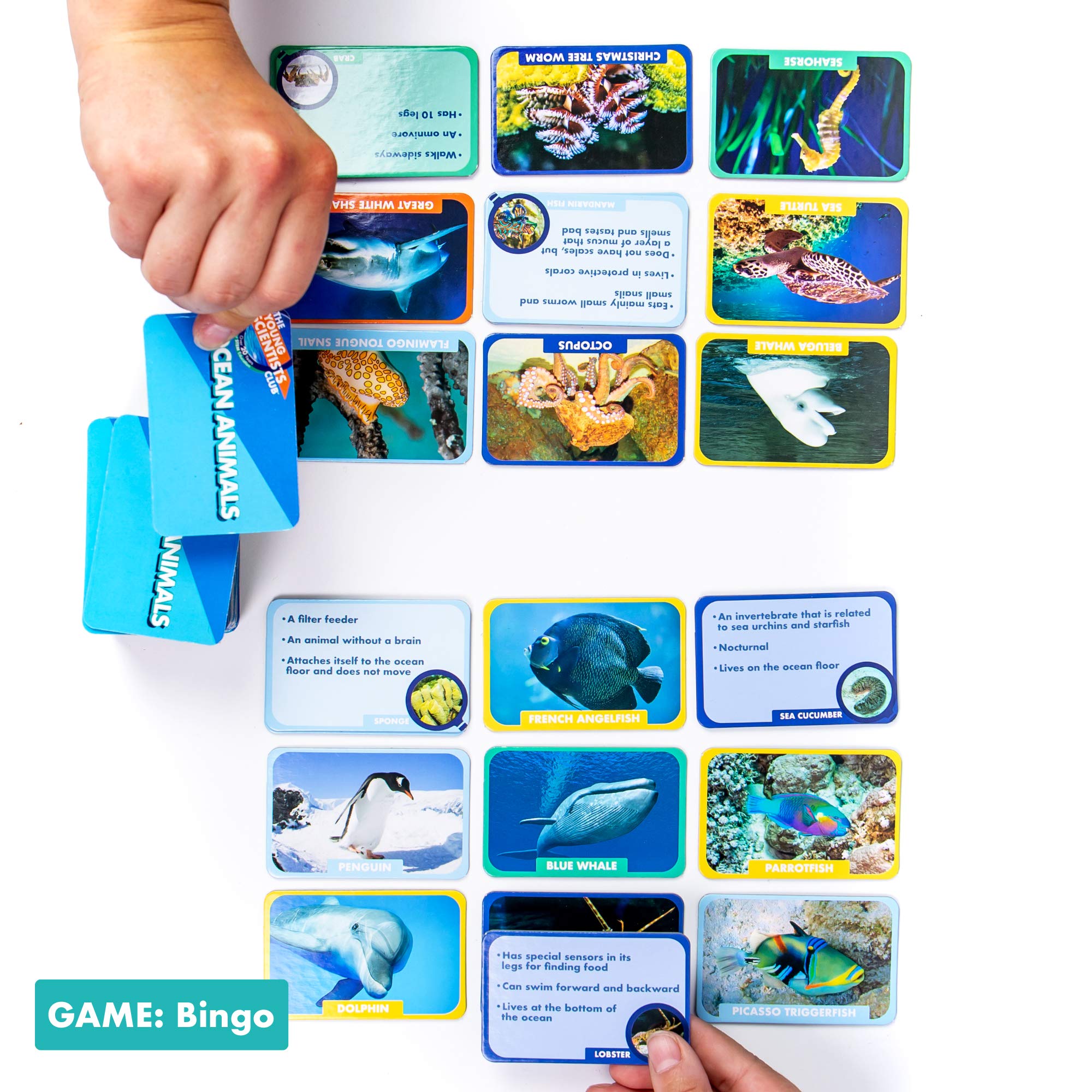 Foto 6 pulgar | Juegos De Cartas The Young Scientist Ocean Animal Age 5+ Kids - Venta Internacional.