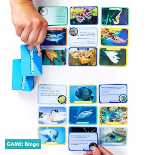 Foto 5 | Juegos De Cartas The Young Scientist Ocean Animal Age 5+ Kids - Venta Internacional.