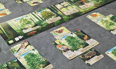 Foto 2 | Juego De Cartas Lookout Forest Shuffle Create Ecological Paradise - Venta Internacional.