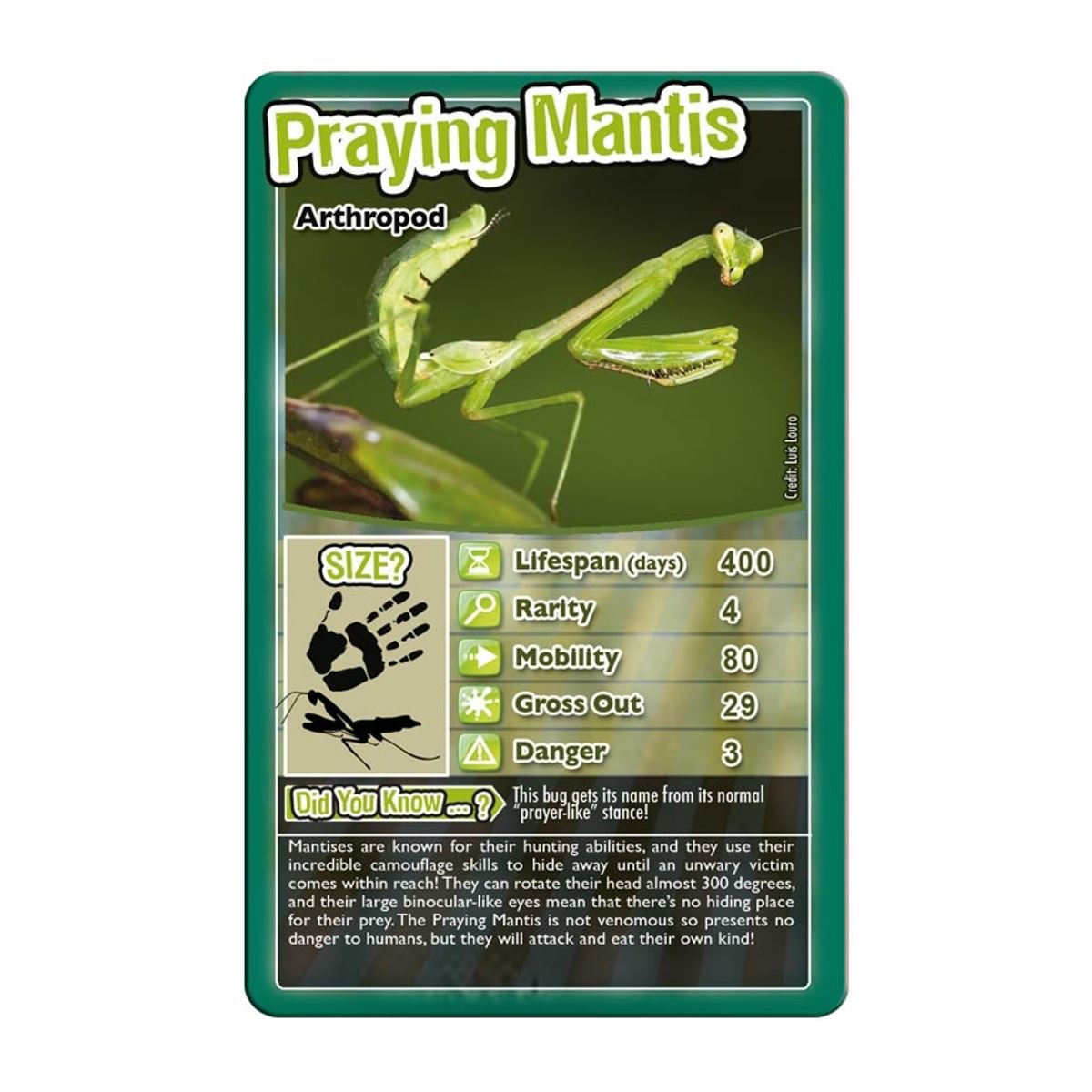 Foto 3 pulgar | Juego De Cartas Top Trumps Bugs Classic Black Widow Tarantula 6+ - Venta Internacional.