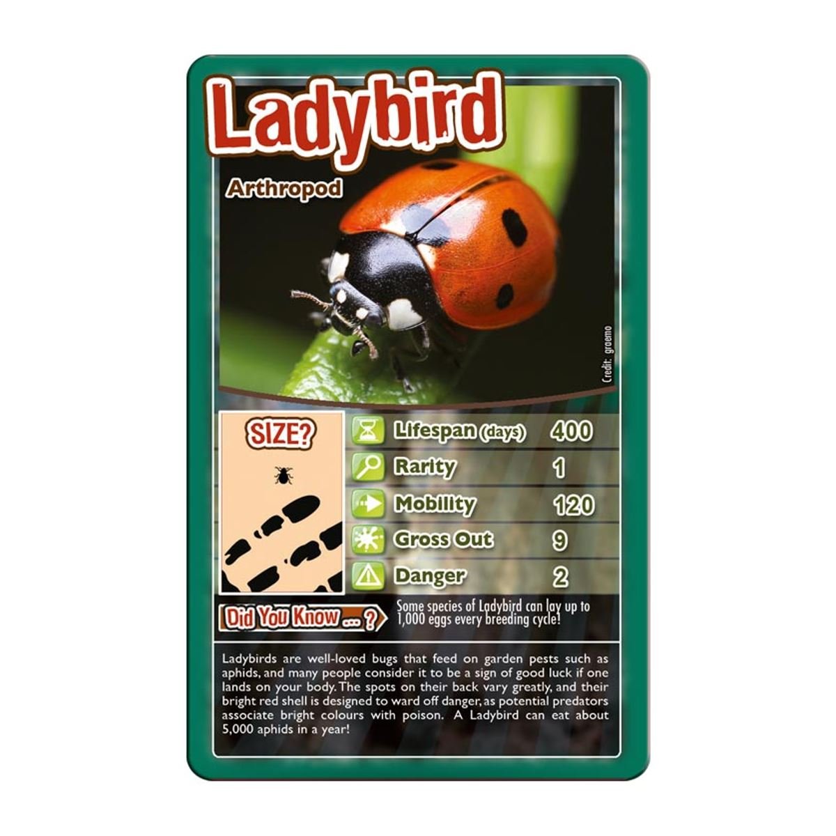 Foto 4 pulgar | Juego De Cartas Top Trumps Bugs Classic Black Widow Tarantula 6+ - Venta Internacional.