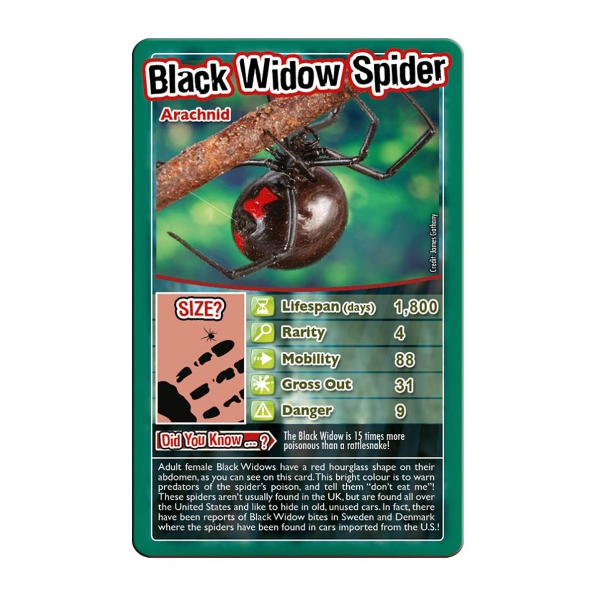 Foto 5 pulgar | Juego De Cartas Top Trumps Bugs Classic Black Widow Tarantula 6+ - Venta Internacional.