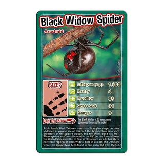 Foto 4 | Juego De Cartas Top Trumps Bugs Classic Black Widow Tarantula 6+ - Venta Internacional.