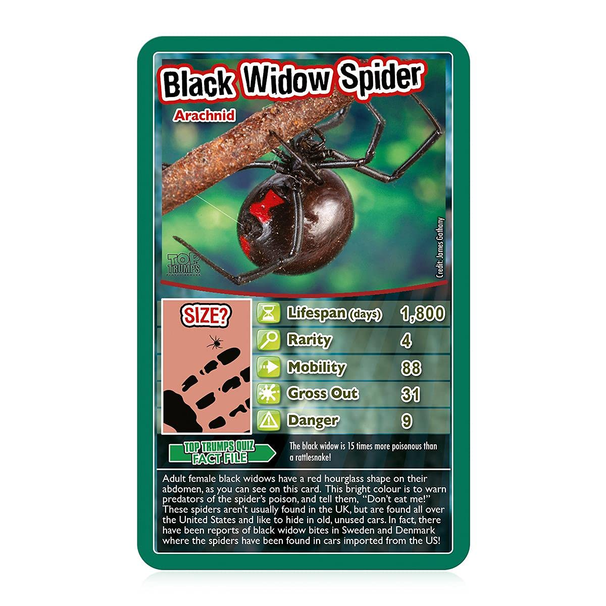 Foto 6 pulgar | Juego De Cartas Top Trumps Bugs Classic Educational 6+ Years - Venta Internacional.