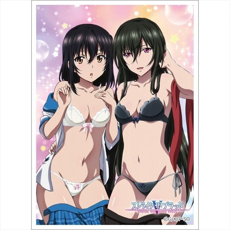 Foto 2 pulgar | Fundas Para Cartas Bushiroad High Grade Strike The Blood Iv, 60 Unidades - Venta Internacional.