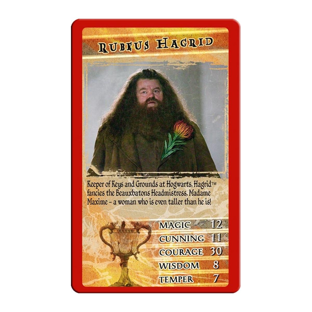 Foto 3 pulgar | Juego De Cartas Top Trimps Harry Potter Y El Cáliz De Fuego - Venta Internacional.