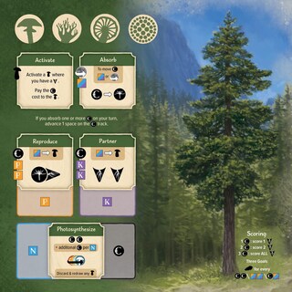 Foto 4 | Juego De Mesa Aeg Undergrove Tile Placement 1-4 Jugadores 10+ - Venta Internacional.