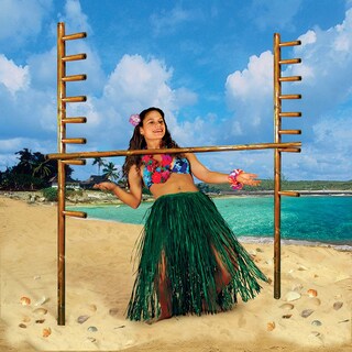 Foto 5 | Kit Limbo Beistle Con 2 Varillas De 180 Cm, 1 Barra De 180 Cm Y Cd - Venta Internacional.