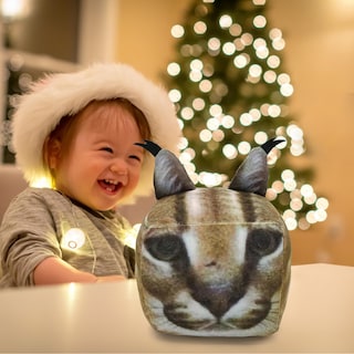 Foto 5 | Venta Internacional - Peluche De Peluche Con Dibujos Animados De Raise A Floppa, Simulación De Gato