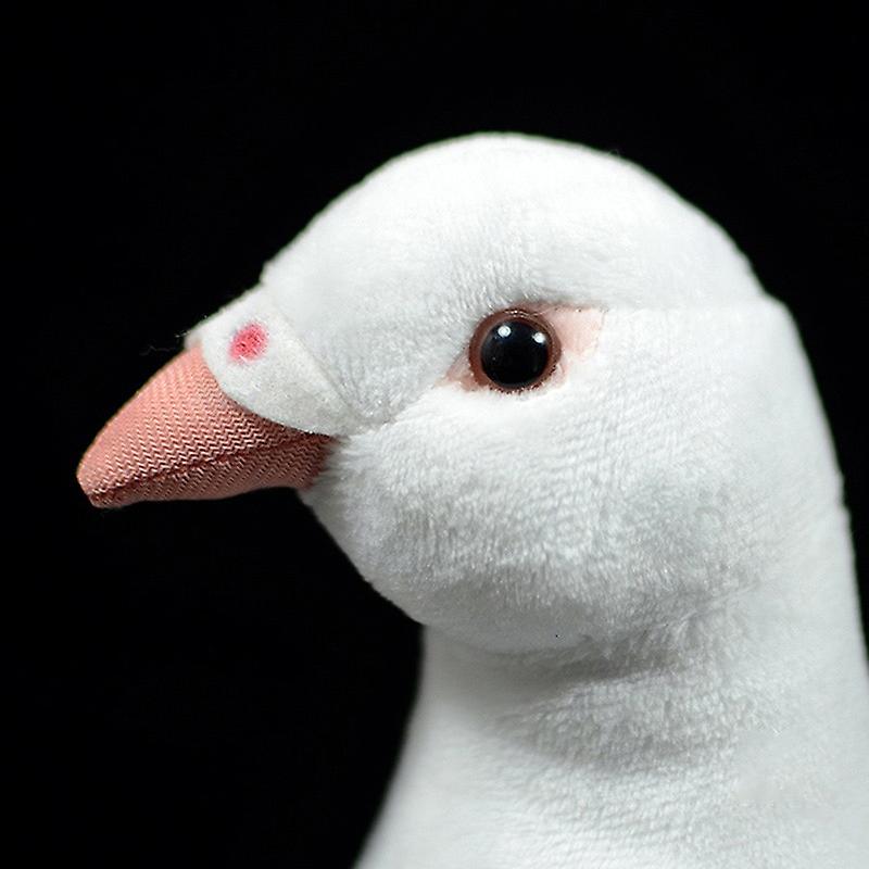 Foto 6 pulgar | Venta Internacional - Juguete de Peluche de Simulación con Bonita Paloma Blanca de 19 cm