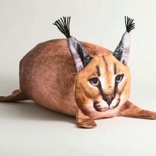 Foto 2 | Venta Internacional - Peluche De Peluche Big Floppa Con Dibujos Animados De Gato, 25 Cm De Alto, Con Algodón Poliprop