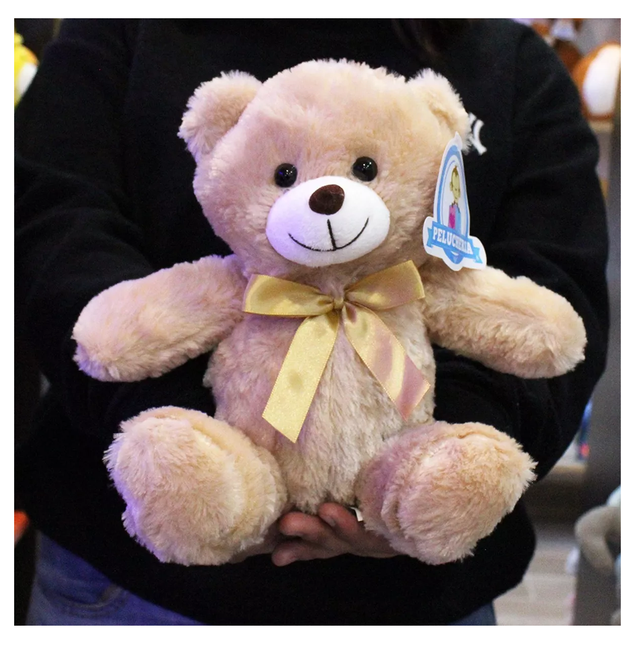 Foto 5 pulgar | Osos de Peluche Peluchería Clásicos 6 Piezas