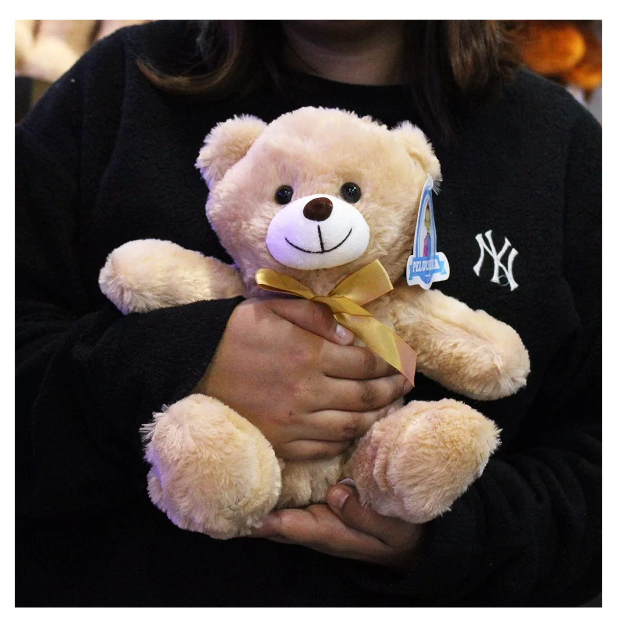 Foto 6 pulgar | Osos de Peluche Peluchería Clásicos 6 Piezas