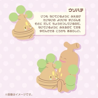 Foto 6 | Peluche Pokémon Center Bonsly & Sudowood De 15 Cm Con Buru Buru Mugyu - Venta Internacional.