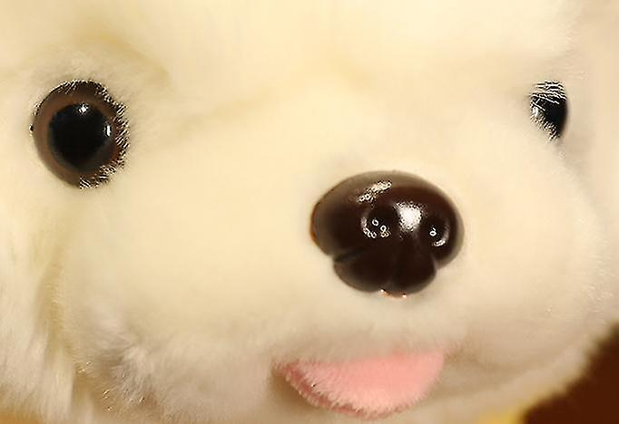 Foto 3 pulgar | Set De Regalo Para Muñeca Huoguo Con Vestido Pomerania De Peluche De 35 Cm - Venta Internacional.