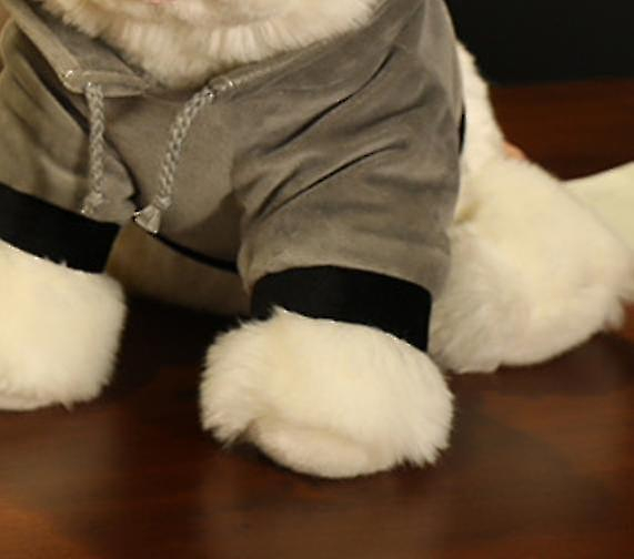 Foto 4 pulgar | Set De Regalo Para Muñeca Huoguo Con Vestido Pomerania De Peluche De 35 Cm - Venta Internacional.