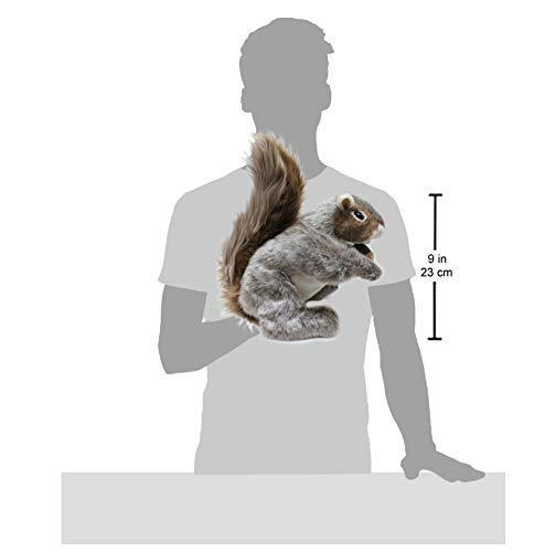 Foto 2 | Marioneta De Mano Folkmanis, Ardilla Gris, 9 X 6 X 11 Pulgadas - Venta Internacional.
