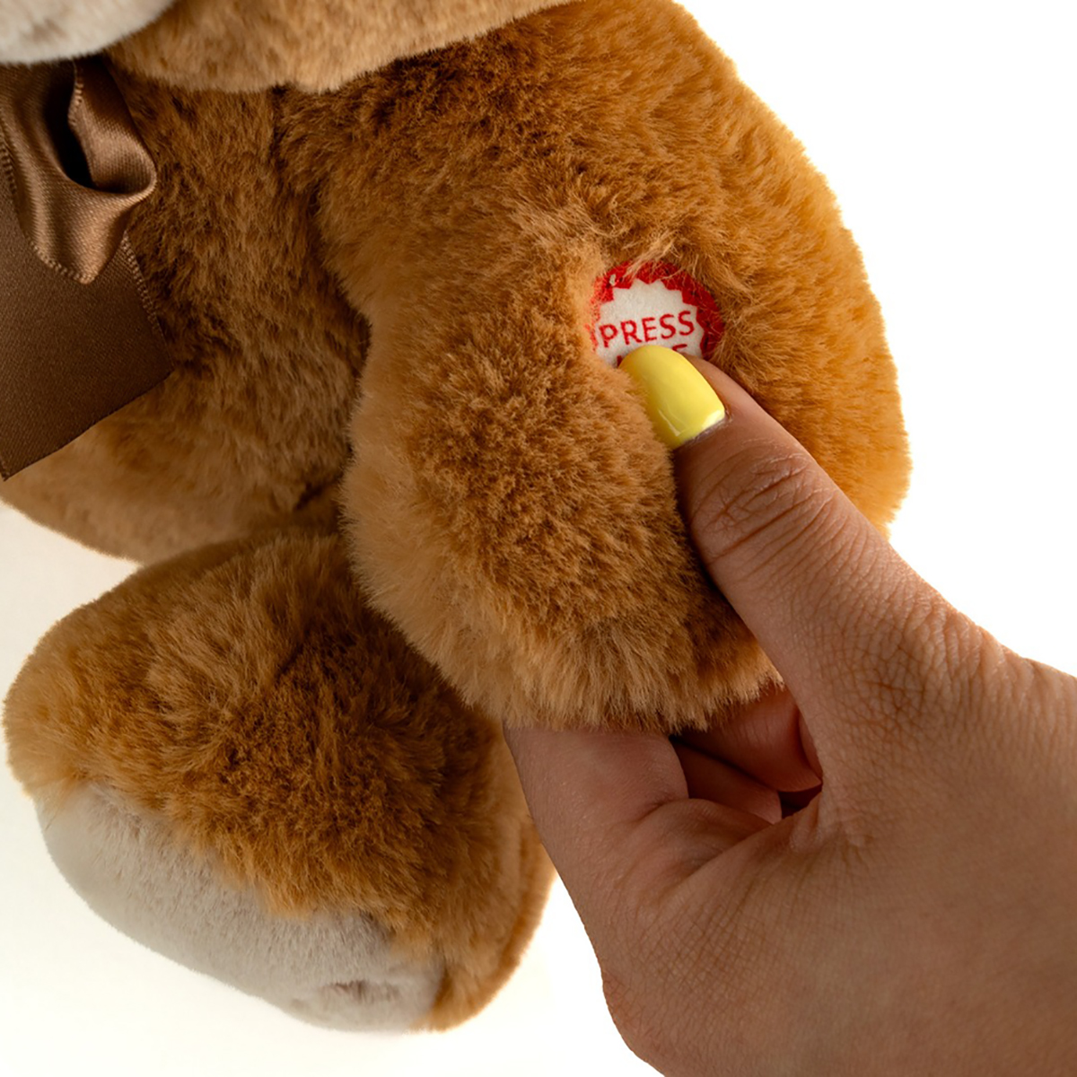 Foto 3 | Oso De Peluche Reza El Padre Nuestro