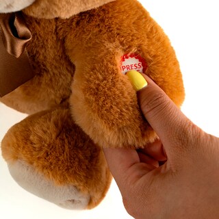 Foto 3 | Oso De Peluche Reza El Padre Nuestro