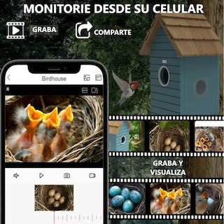 Foto 2 | Jaula Para Pájaro, Aves Con Monitoreo Móvil Con Cámara Eo Safe Imports Esi-18987 Multicolor