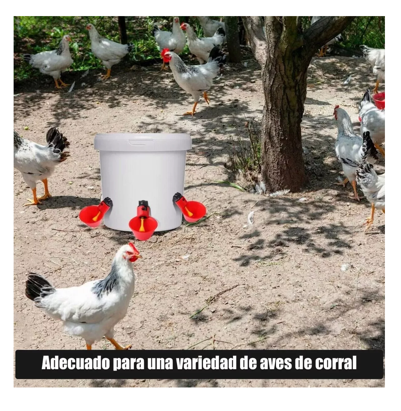 Foto 6 pulgar | Bebedero Automático Para Aves Belug 25 Piezas color Rojo