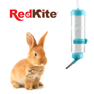 Foto 4 | Bebedero Antigoteo Grande 250 Ml Red Kite Colores Aleatorios