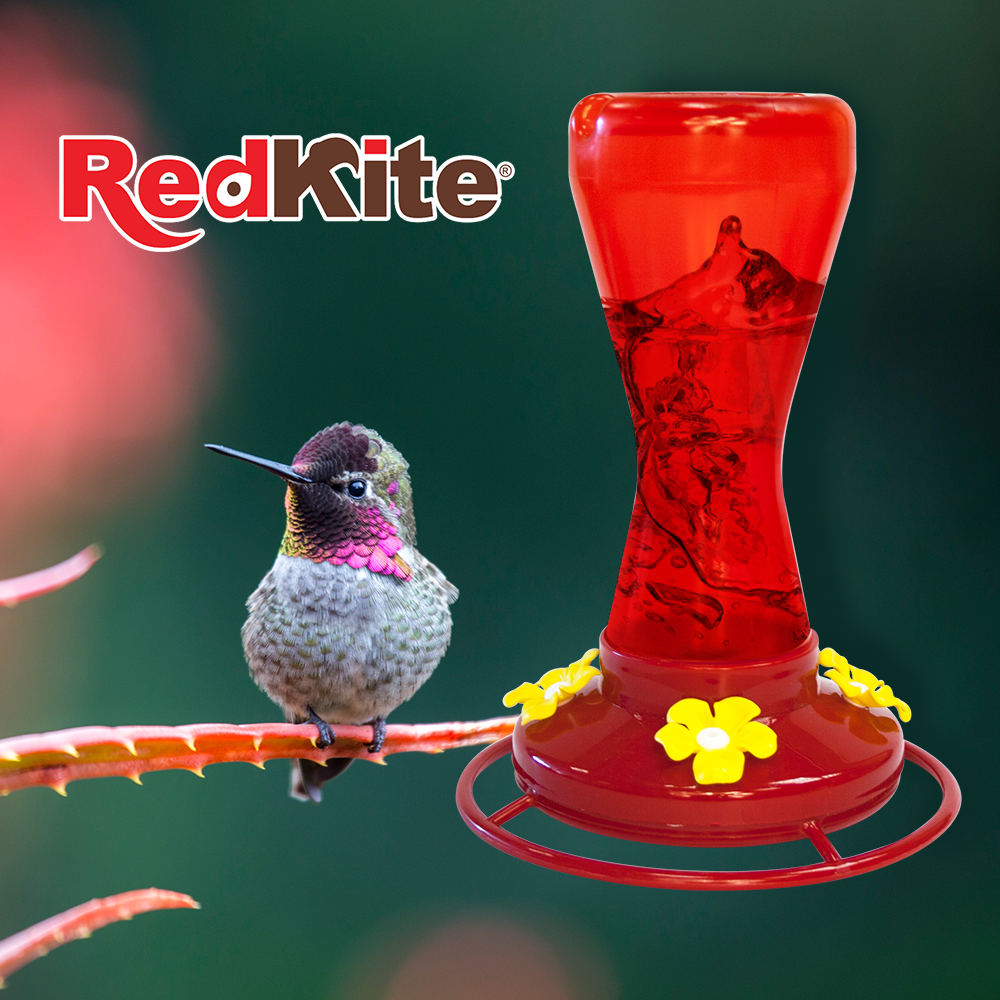 Foto 3 | Bebedero color Rojo para Colibri Redkite con Capacidad de 470 Mililitros