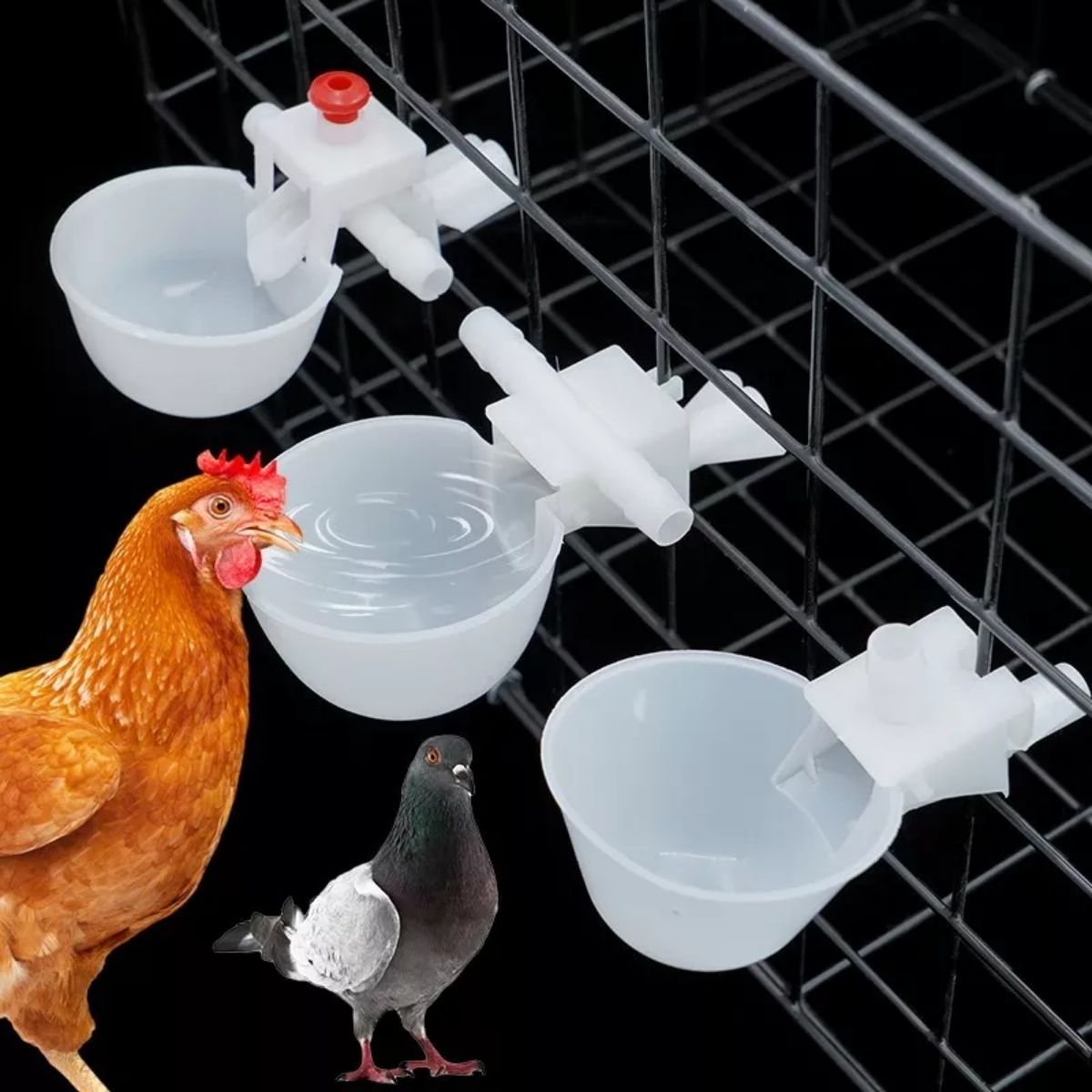 Foto 3 pulgar | Set De 10 Bebederos Para Pollos Gallinas Codornices Gallos Y Colibríes