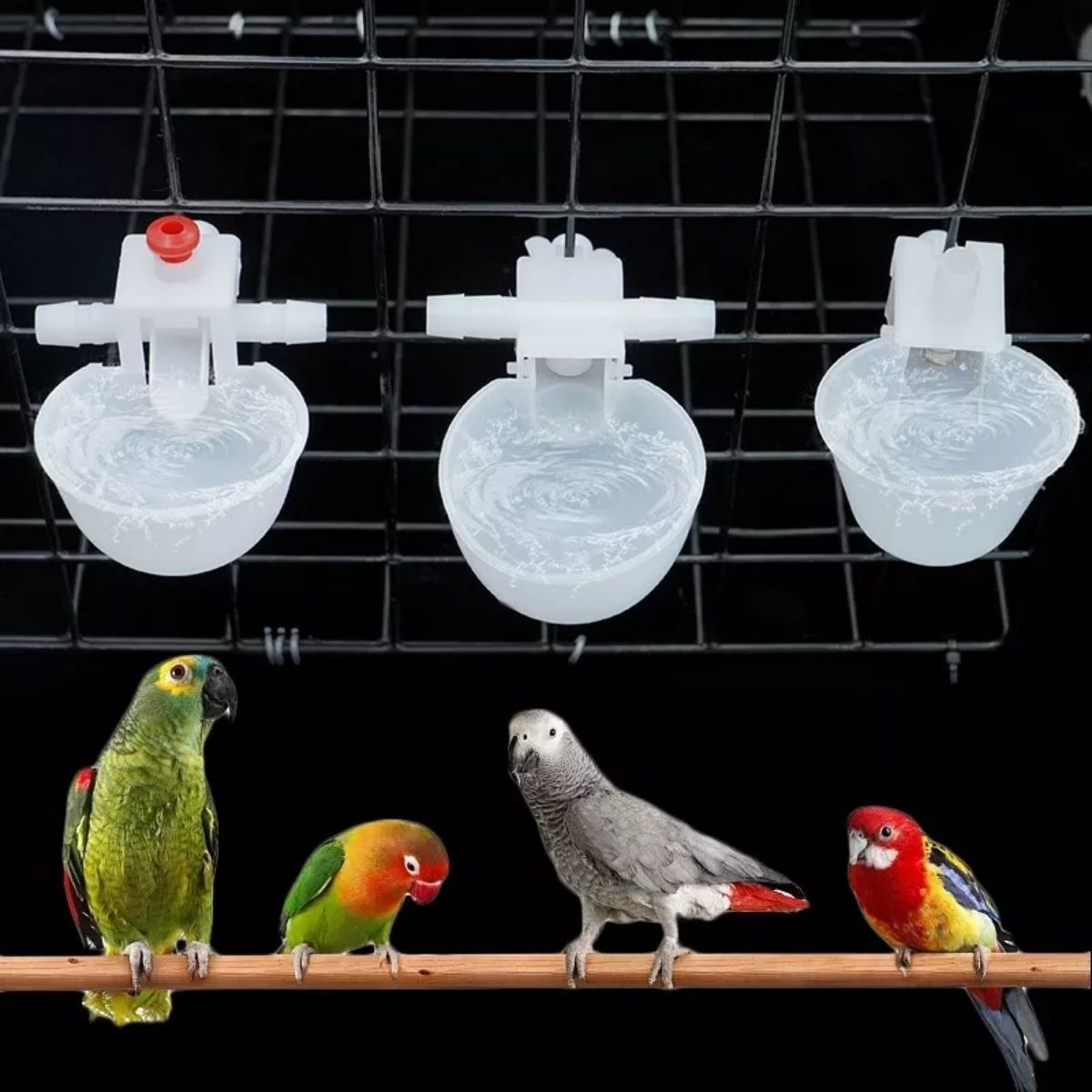 Foto 4 pulgar | Set De 10 Bebederos Para Pollos Gallinas Codornices Gallos Y Colibríes