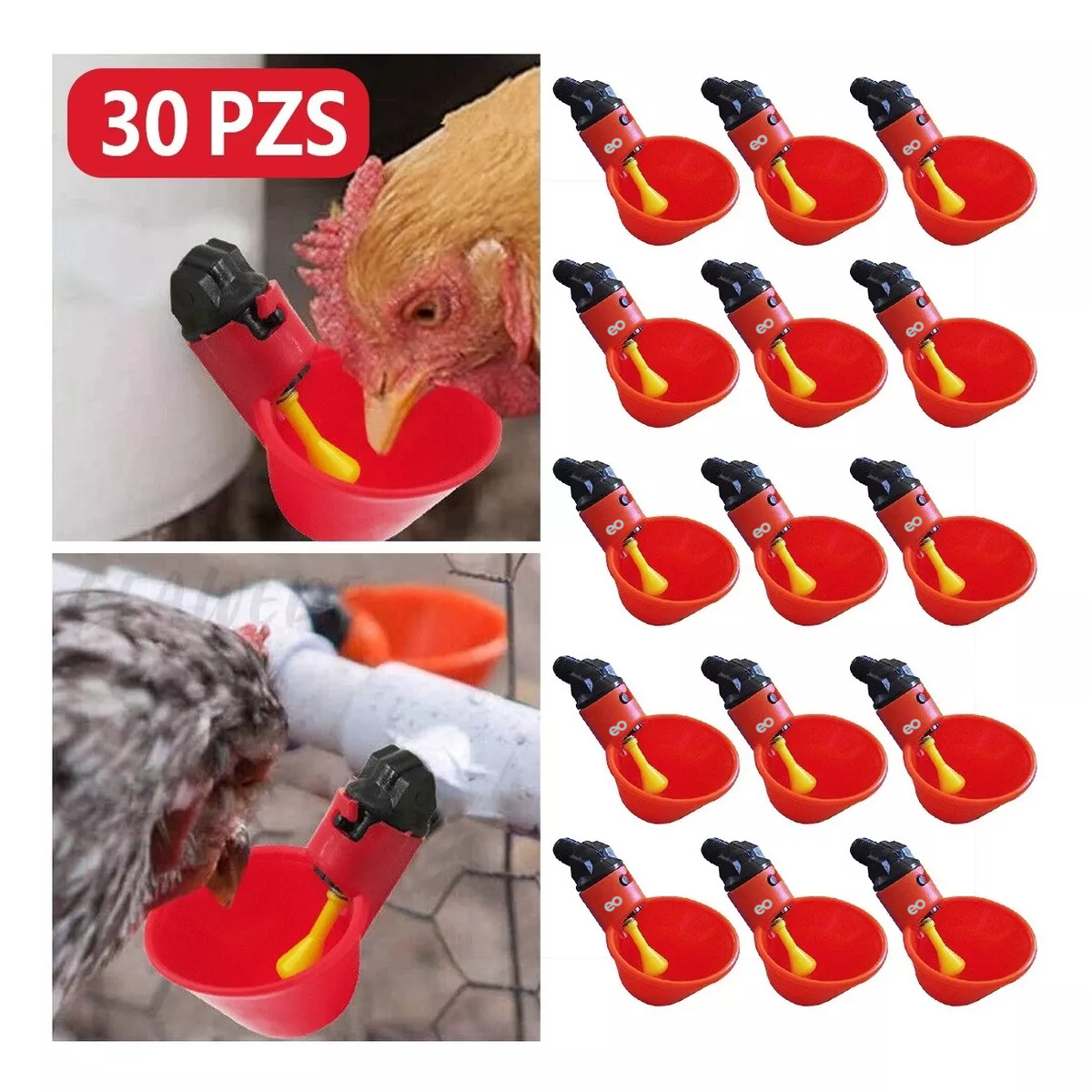 Foto 2 | Kit Bebederos Separadores para Gallos 30 Piezas Eo Safe Imports Esi-9736-1 Rojo