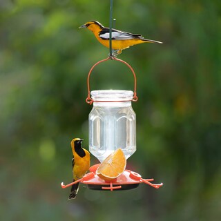 Foto 2 | Vaso Oriole Feeder Perky-pet 9113-2 Con Relleno Superior, 650 Ml, Naranja - Venta Internacional.
