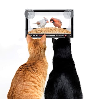 Foto 3 | Bird Feeder Genuine Fred Live Feed - Ventana Acrílica Transparente - Venta Internacional.
