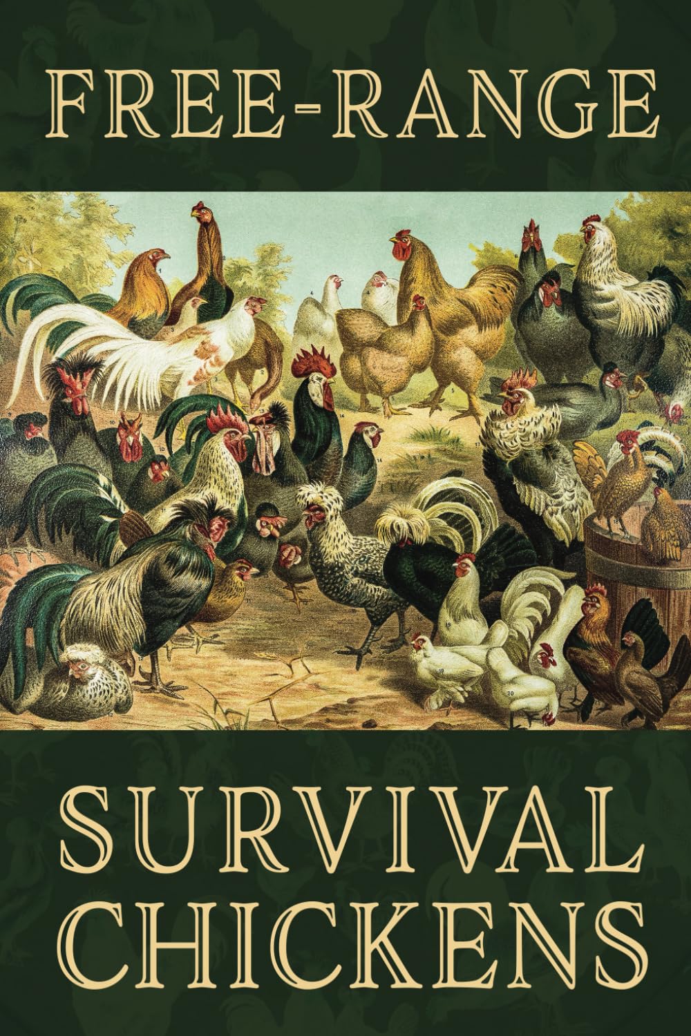 Foto 1 | Pollos Vivos De Supervivencia Criados En Libertad - Venta Internacional.