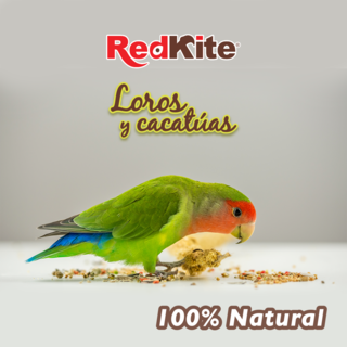 Foto 4 | Alimento Natural de Semillas Redkite FL4013 para Loros y Cacatúas con 500 Gramos