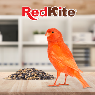 Foto 3 | Alimento Mezcla de Semillas Redkite para Canarios y Finches con 500 Gramos