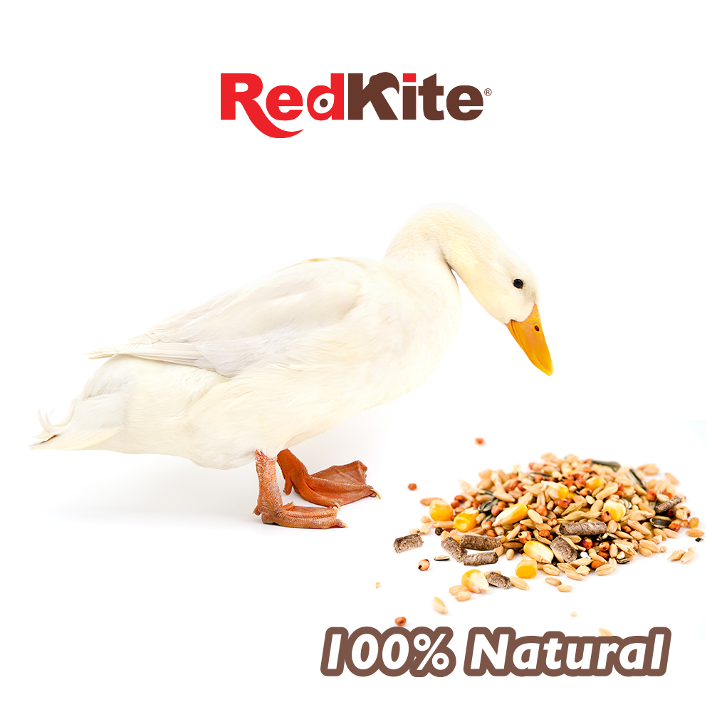 Foto 5 pulgar | Mezcla de Semillas Redkite para Patos Co 1 K