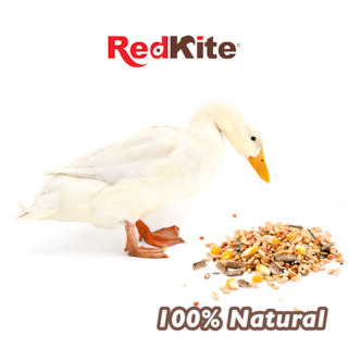 Foto 4 | Mezcla de Semillas Redkite para Patos Co 1 K