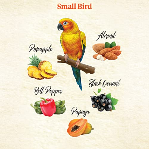 Foto 4 | Bocadillos Para Pájaros Para Mascotas Kaytee Food From The Wild, 90 Ml - Venta Internacional.